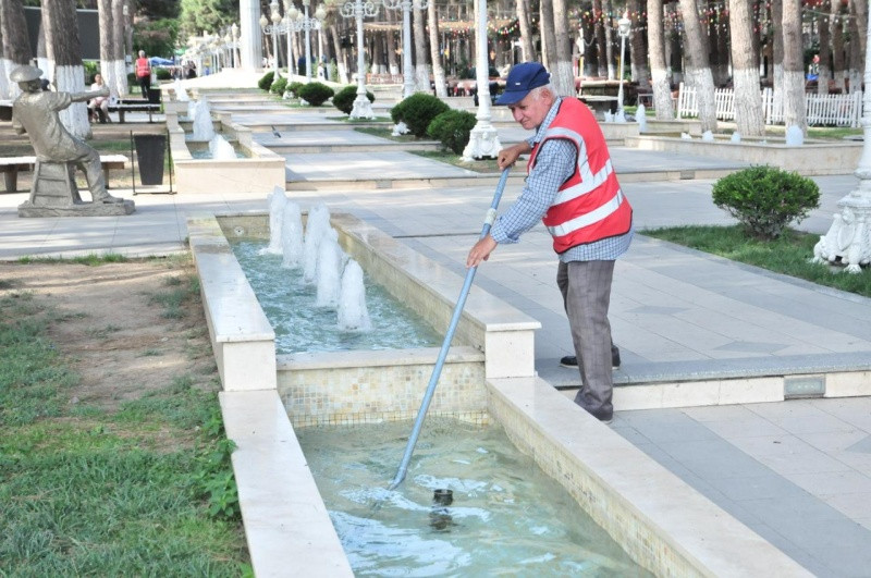 Abşeron rayonunda iməclik keçirilib