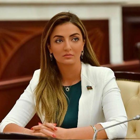Deputat Könül Nurullayeva AŞPA-nın daha bir videokonfransında iştirak edib