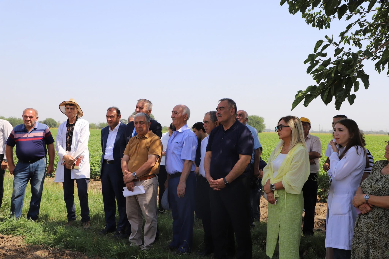 “Günəbaxan bitkisinin becərilməsində yeni texnologiyaların tətbiqi” mövzusunda tarla seminarı keçirilib