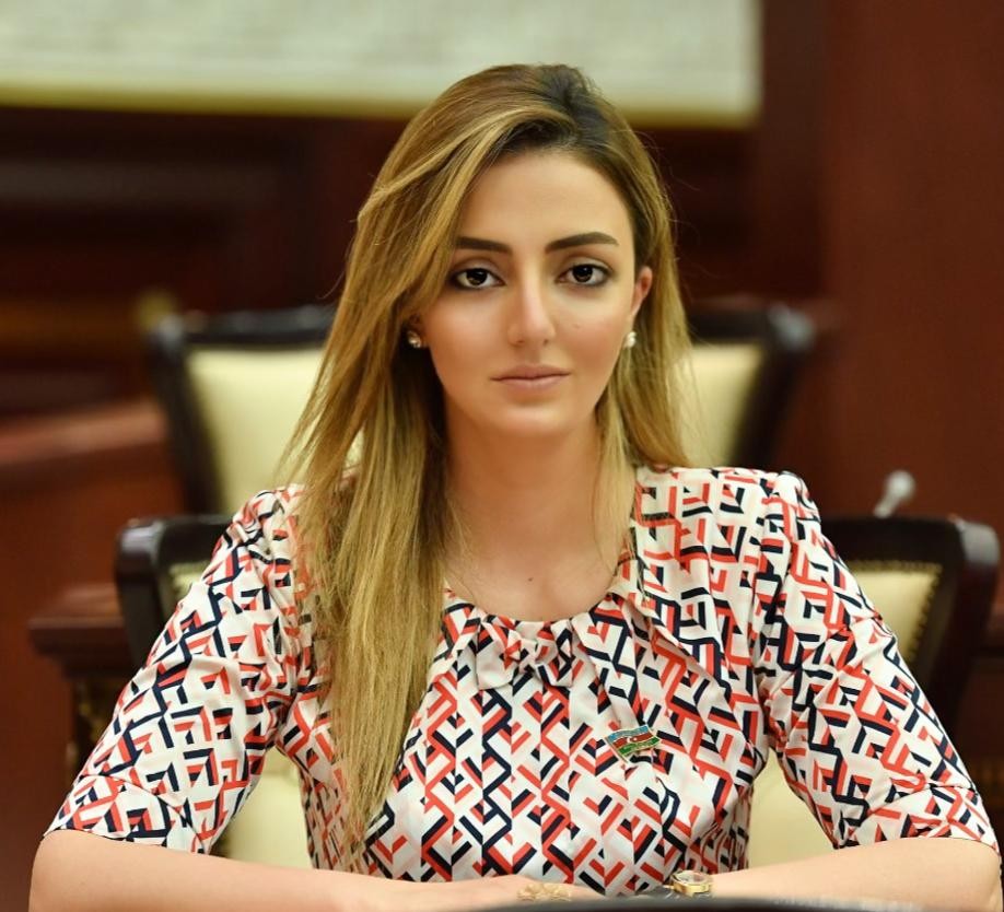 Könül Nurullayeva AŞPA-nın Yay Sessiyası üzrə videokonfransında iştirak edib