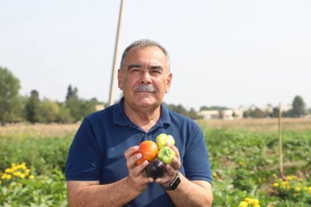 Bitki Mühafizə və Texniki Bitkilər ETİ- də orqanik əkinçiliklə bağlı 2 mərhələdən ibarət elmi praktiki seminar öz işinə başlayıb