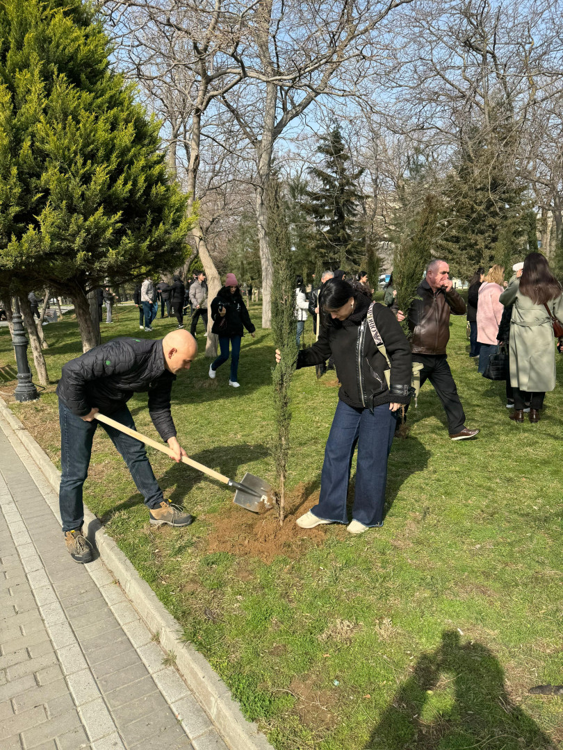 Nəsimi rayonunda 2024-cü ilin "Yaşıl dünya naminə həmrəylik ili" elan edilməsi çərçivəsində COP29-a həsr edilmiş ağacəkmə aksiyası keçirilib