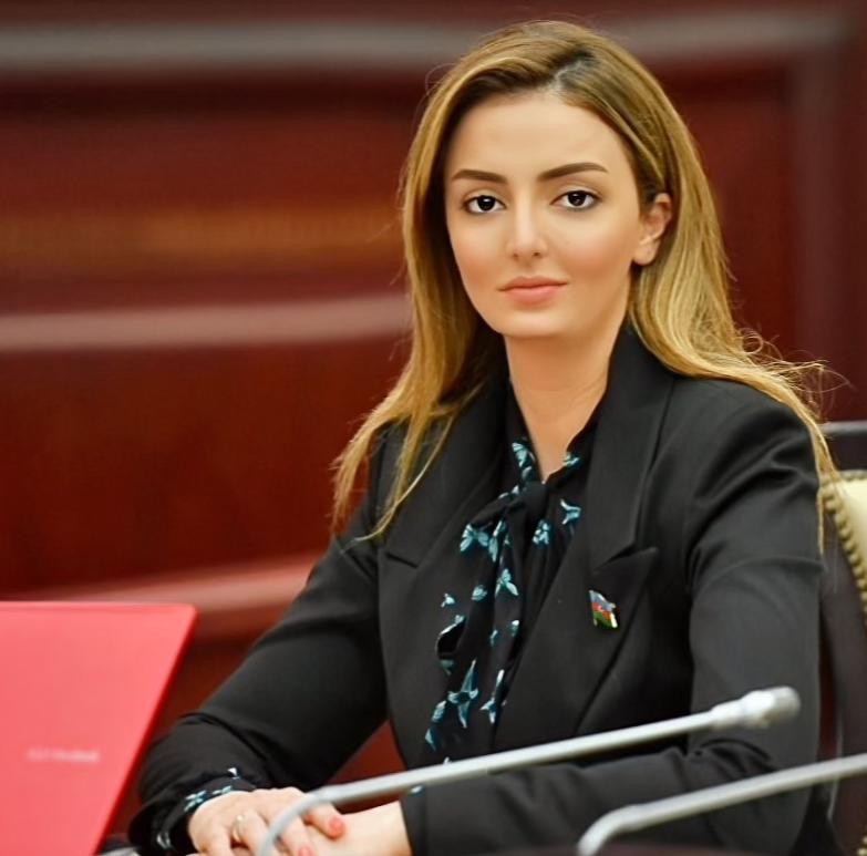 Könül Nurullayeva: “İnsan hüquq və azadlıqlarının kobud şəkildə pozulduğu əksər Qərb ölkələrinin Azərbaycanı əsassız şəkildə ittiham etməyə haqqı yoxdur”