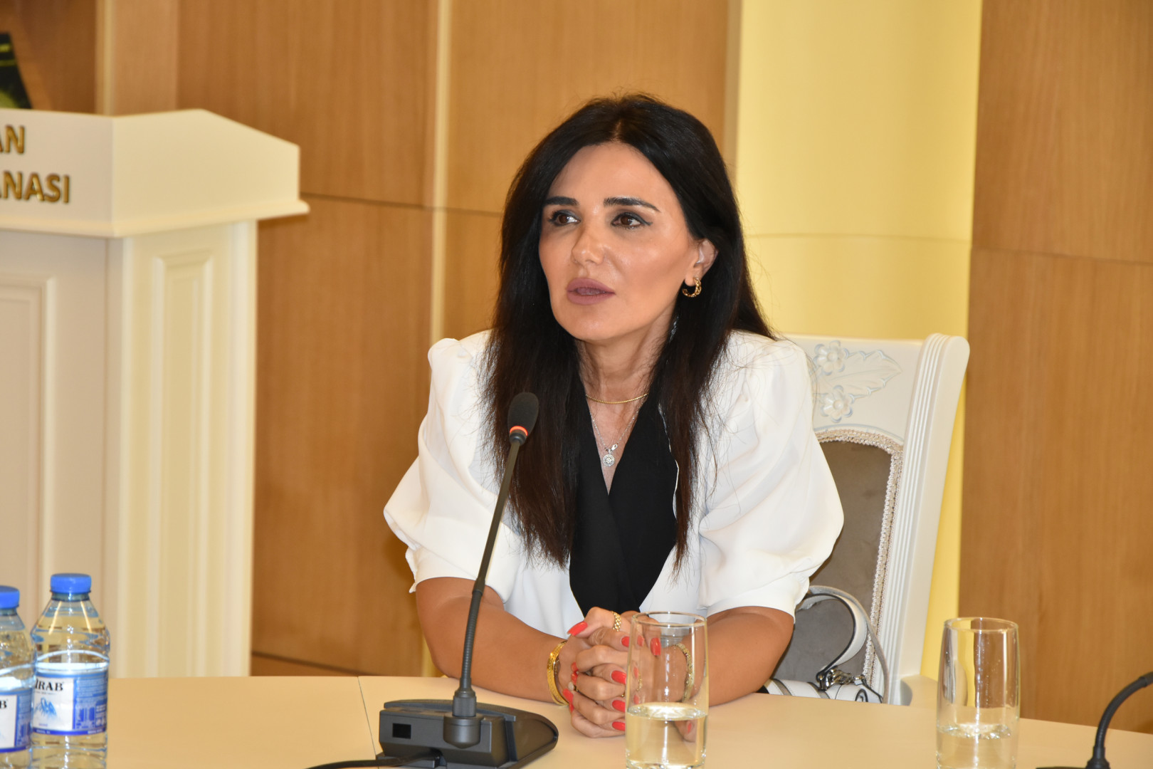 Milli Kitabxanada “Azərbaycan Mədəniyyəti – 2040” Mədəniyyət Konsepsiyası kontekstində “Azərbaycan dilinin qorunması və inkişafı məsələləri” mövzusunda dəyirmi masa keçirilib