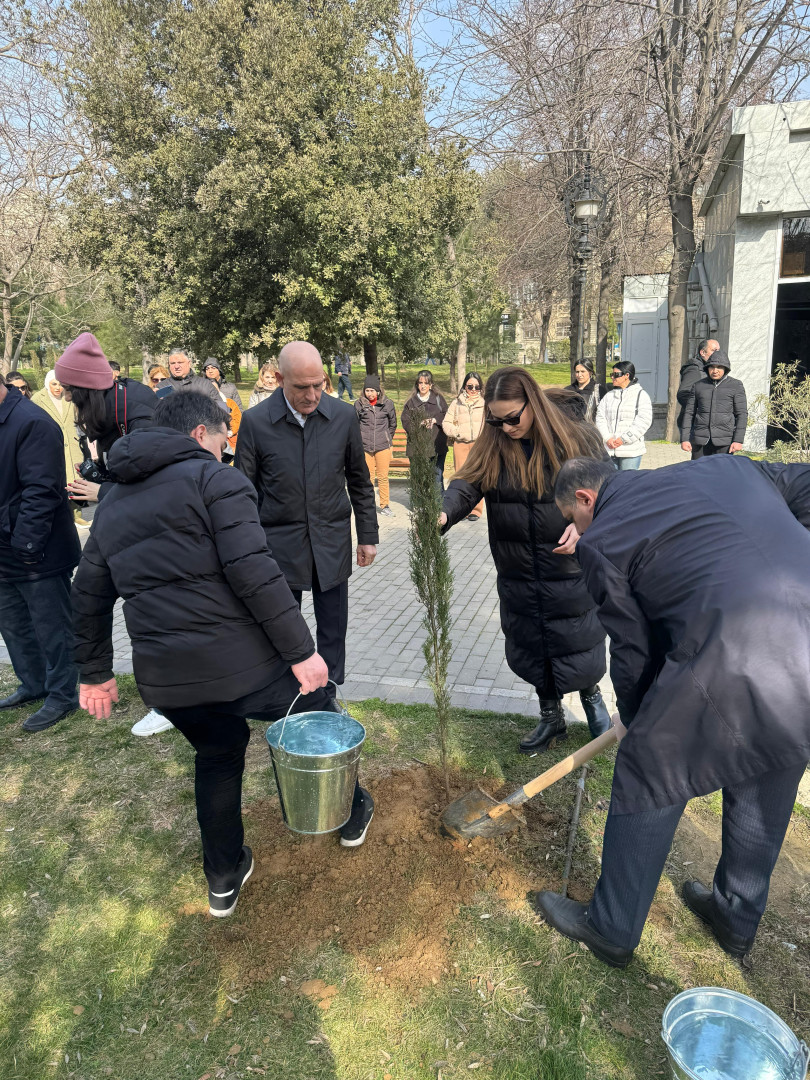 Nəsimi rayonunda 2024-cü ilin "Yaşıl dünya naminə həmrəylik ili" elan edilməsi çərçivəsində COP29-a həsr edilmiş ağacəkmə aksiyası keçirilib