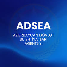 Beynəlxalq tədbirin üzərinə kölgə salanları hansı cəza gözləyir?
