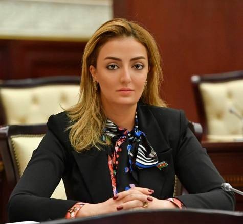 Könül Nurullayeva: “Azərbaycan Prezidenti Praqa görüşündə də Azərbaycanın milli maraqlarını layiqincə qorudu”