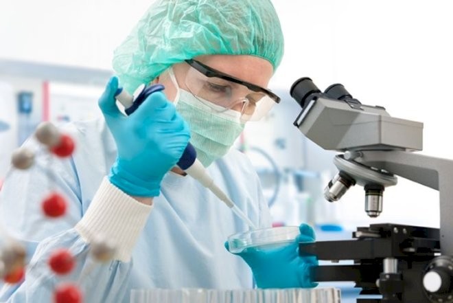 Azərbaycandakı ölümcül virusla bağlı dəhşətli faktları açıqladı: