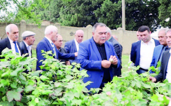 Aqrar elm və təhsilə xidmətdə keçən ömür-