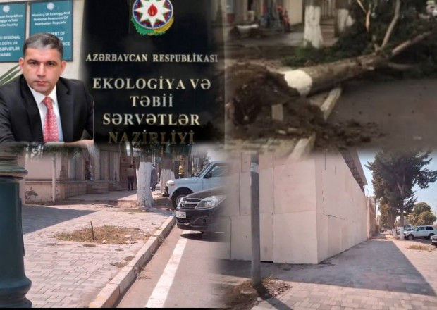 Ağstafada Ümumilli liderin adını daşıyan prospektdə "ekoloji Terror"-Ağacı kəsib, Obyekt tikirlər-