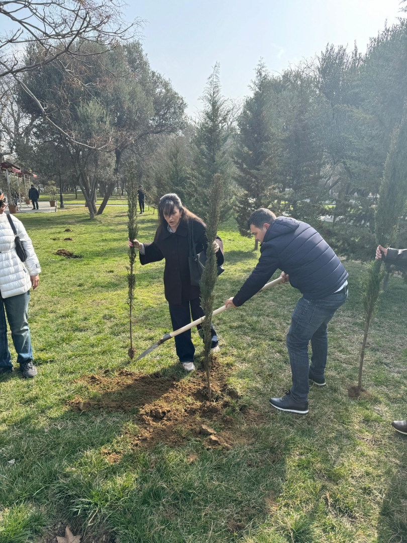 Nəsimi rayonunda 2024-cü ilin "Yaşıl dünya naminə həmrəylik ili" elan edilməsi çərçivəsində COP29-a həsr edilmiş ağacəkmə aksiyası keçirilib