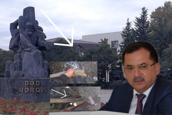 Bacısına güvənən məşhur həkim rayonda "yaşıl terror" törətdi