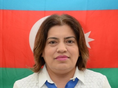 Elinanın intiharında məktəbdəki özbaşnalığın xüsusi rolu olub-