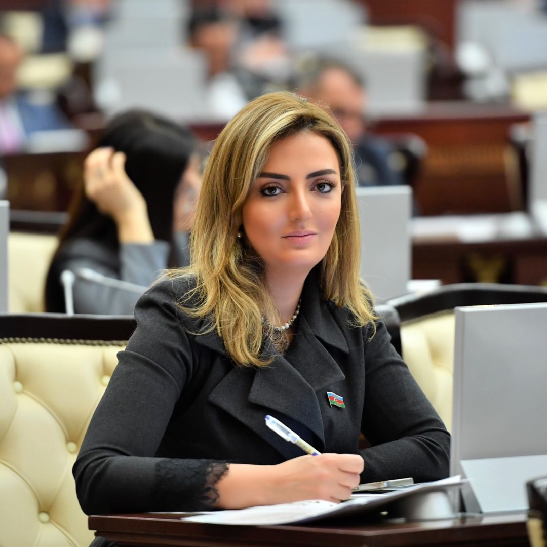 K.Nurullayeva: “Əqli qüsurlu şəxslərin öz ailələrinə və ya icma əsaslı evlərə köçürülməsi böyük əhəmiyyət daşıyır”
