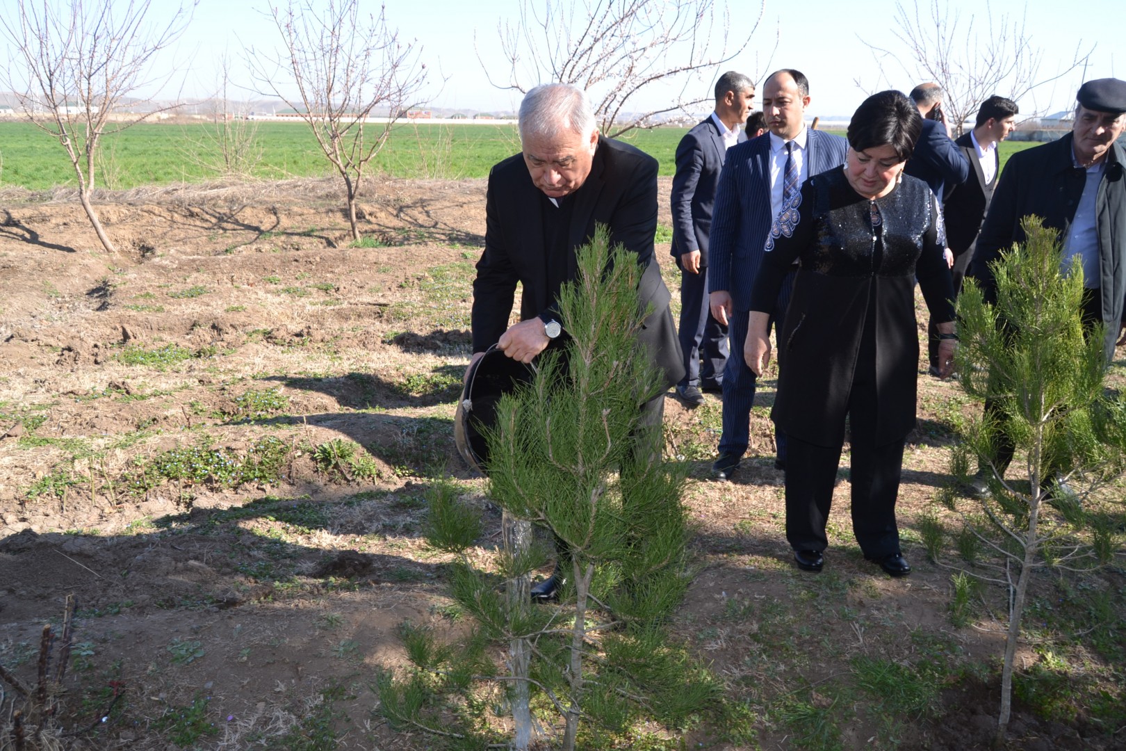 Ulu Öndər Heydər Əliyevin anadan olmasının 100 illiyi münasibətilə Füzulidə ağacəkmə aksiyası...