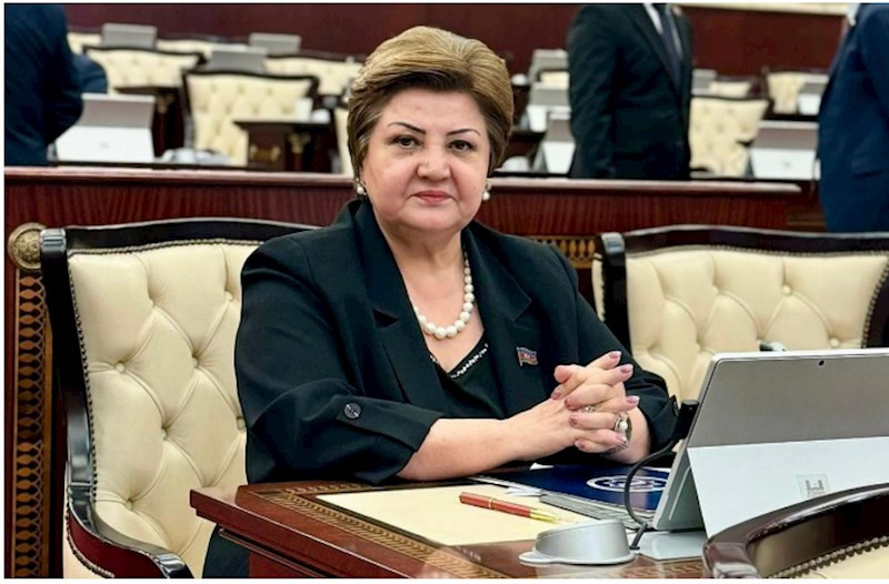 Tənzilə Rüstəmxanlı İlbər Ortaylı ilə görüşdü
