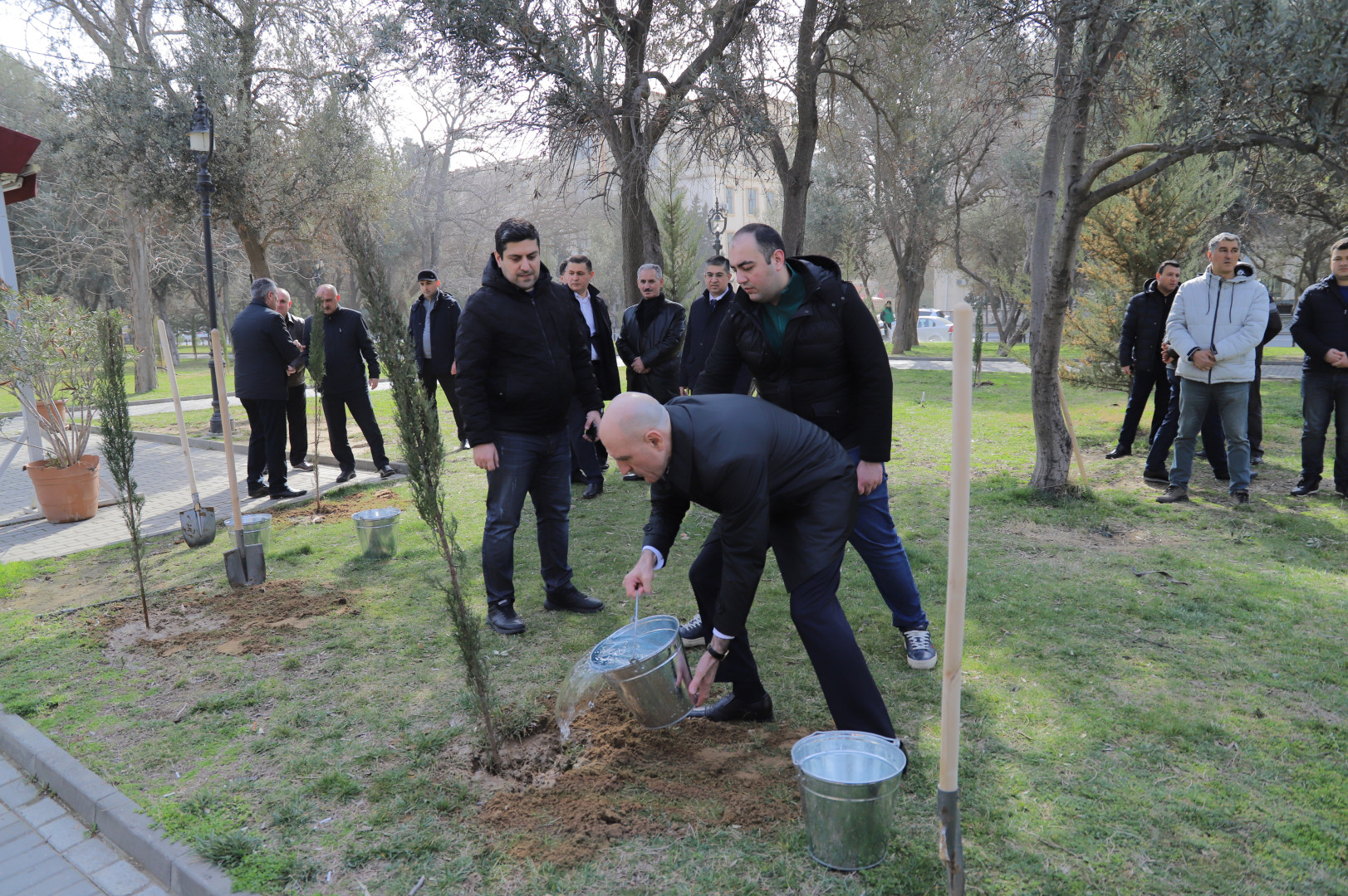 Nəsimi rayonunda 2024-cü ilin "Yaşıl dünya naminə həmrəylik ili" elan edilməsi çərçivəsində COP29-a həsr edilmiş ağacəkmə aksiyası keçirilib