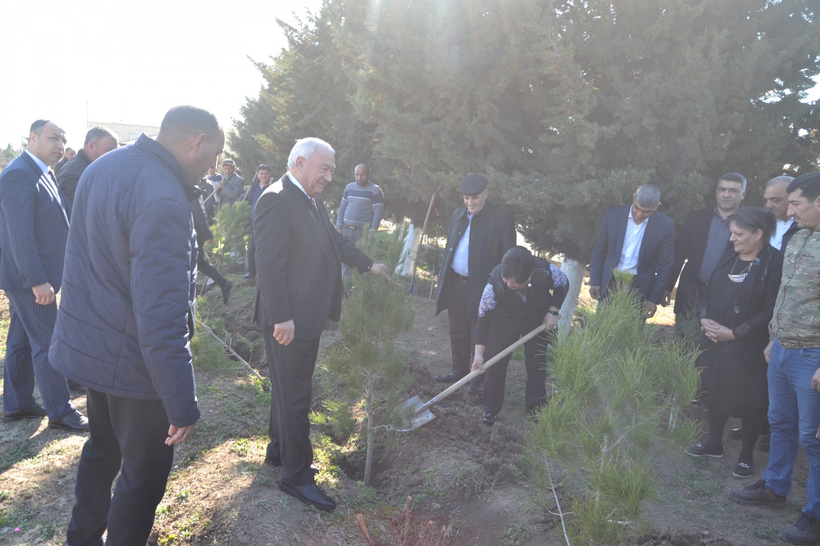 Ulu Öndər Heydər Əliyevin anadan olmasının 100 illiyi münasibətilə Füzulidə ağacəkmə aksiyası...