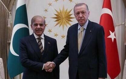 Türkiyə və Pakistan ordusu Səudiyyəni müdafiə etmək məqsədilə əməliyyatlar keçirə bilər