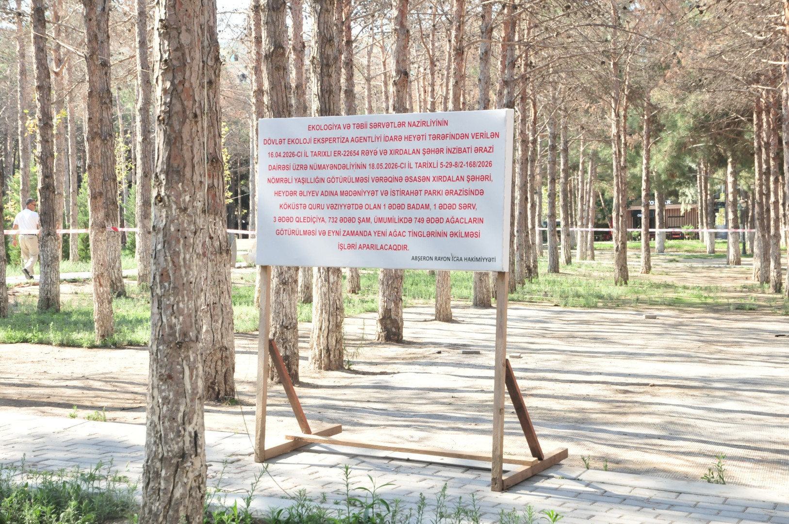 Abşeron rayonunda qurumuş ağacların götürülməsi və yerlərinə yeni tinglərin əkilməsinə başlanılmışdır