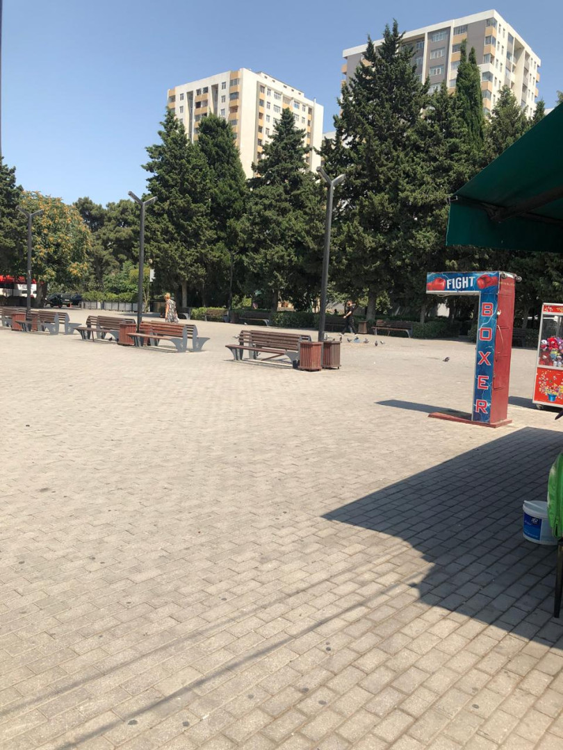 Nizami rayon MKTB-da göyərçinlərin yemləndiyi ərazilərə həssas yanaşılsa pis olmaz