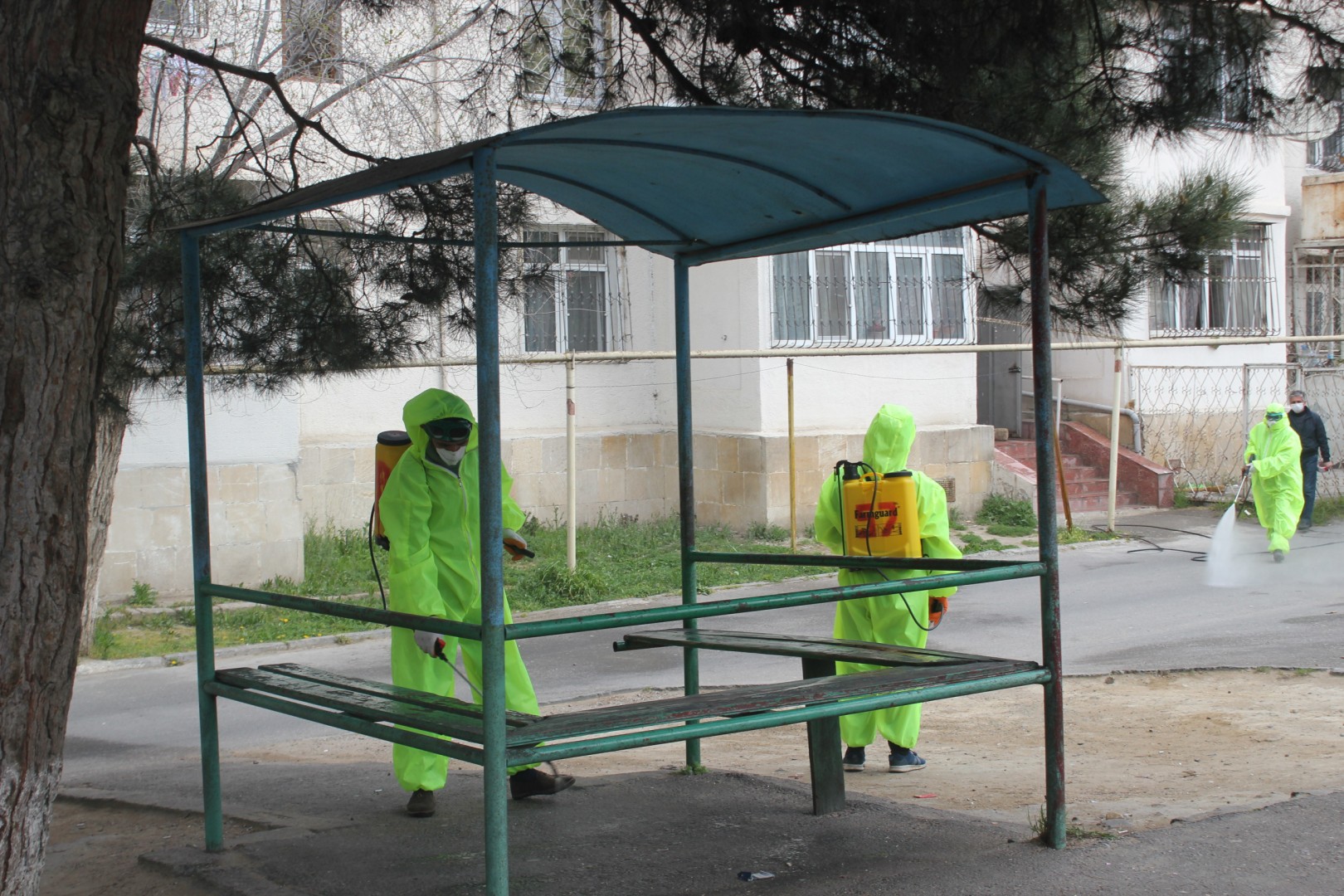 Nizami rayonunda dezinfeksiya və maarifləndirmə işləri davam etdirilir