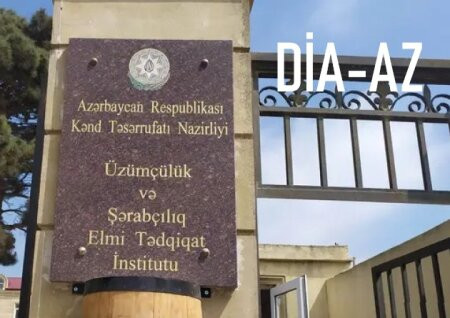 Polietilen borularının quraşdırılması işlərini həyata keçirən MMC-nin Üzümçülük və Şərabçılıq Elmi Tədqiqat İnstitutunda elmi tədqiqat xidmətləri həyata keçirtmək potensialı varmı?