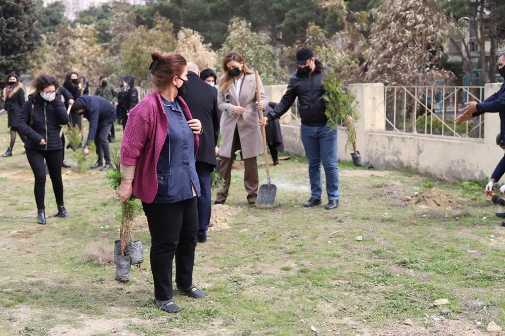 Millət vəkili Könül Nurullayeva “Vətən müharibəsi şəhidlərinin xatirərinə həsr edilmiş ağacəkmə aksiyası” təşkil edib