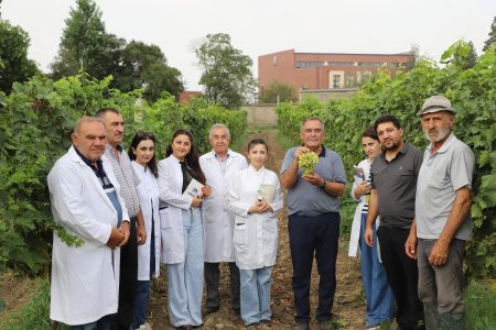 "Üzüm şirəsi ana südünə yaxın bir məlhəmdir"