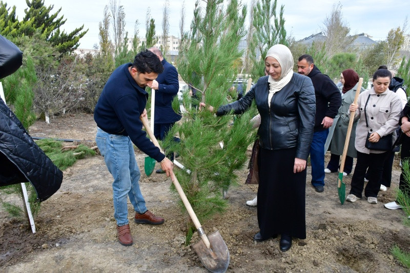 Abşeron rayonunda ağacəkmə aksiyası keçirilib