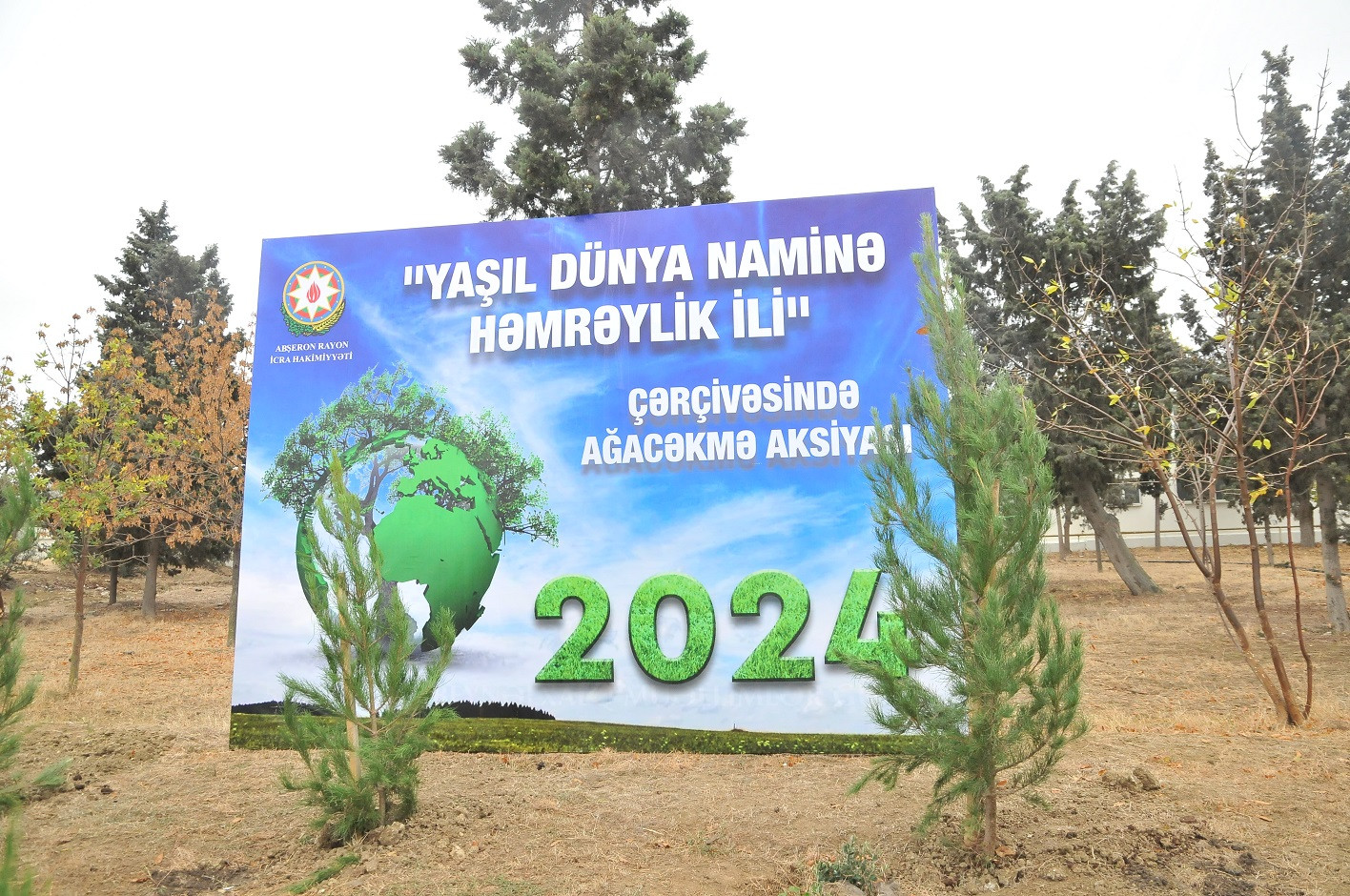 Abşeron rayonunda “Yaşıl dünya naminə həmrəylik ili” çərçivəsində silsilə ağacəkmə aksiyaları keçirilir