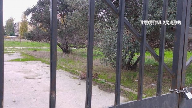 Bakıxanovda ağacları qırıb yerində bina tikən “lap böyük” adamlar kimdir?..