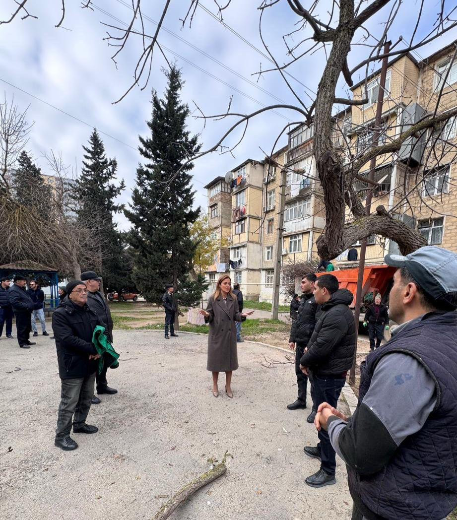 Könül Nurullayeva növbəti səyyar qəbulunu keçirib