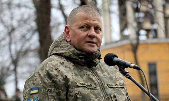Zalujni təsdiqlədi: Rus təyyarələri vurulub