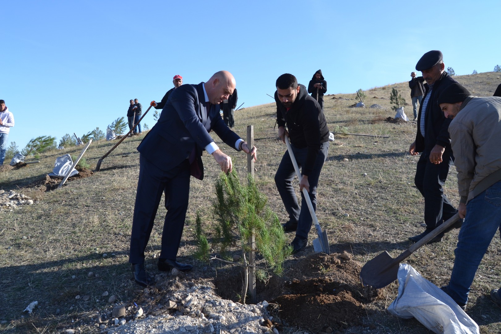 Füzuli rayonunda hər şəhidin adına bir ağac əkilib