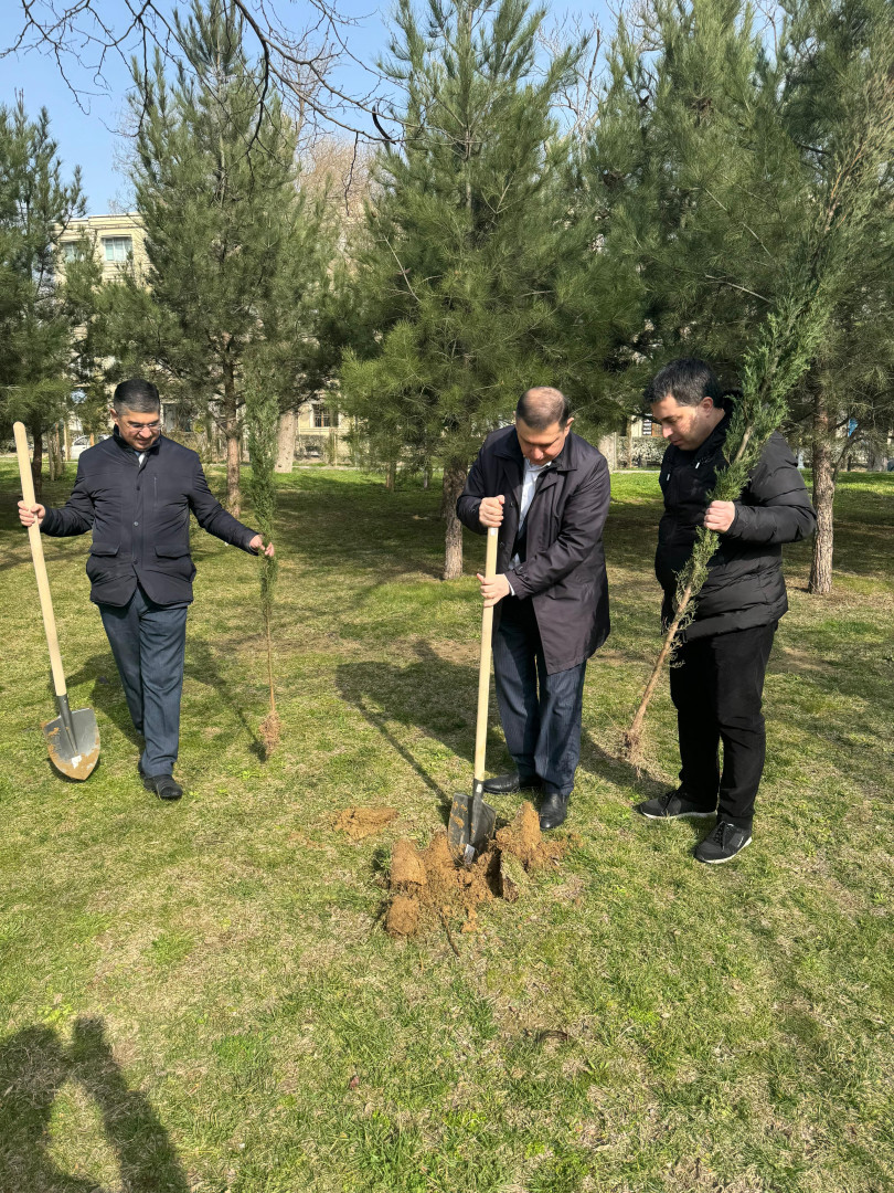 Nəsimi rayonunda 2024-cü ilin "Yaşıl dünya naminə həmrəylik ili" elan edilməsi çərçivəsində COP29-a həsr edilmiş ağacəkmə aksiyası keçirilib