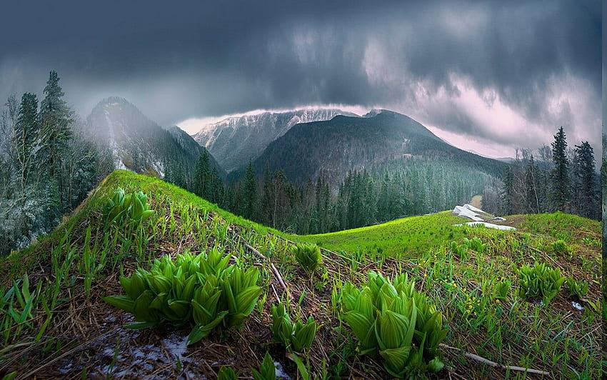 Sabahdan havanın temperaturu 5 dərəcə enəcək -
