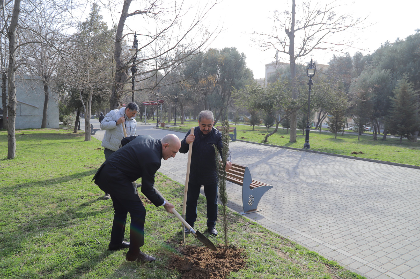 Nəsimi rayonunda 2024-cü ilin "Yaşıl dünya naminə həmrəylik ili" elan edilməsi çərçivəsində COP29-a həsr edilmiş ağacəkmə aksiyası keçirilib