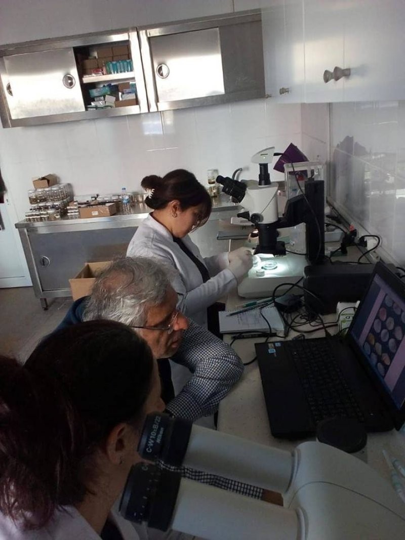 Qərbi Kaspi Universitetinin müəllimi beynəlxalq tədqiqatda iştirak edir