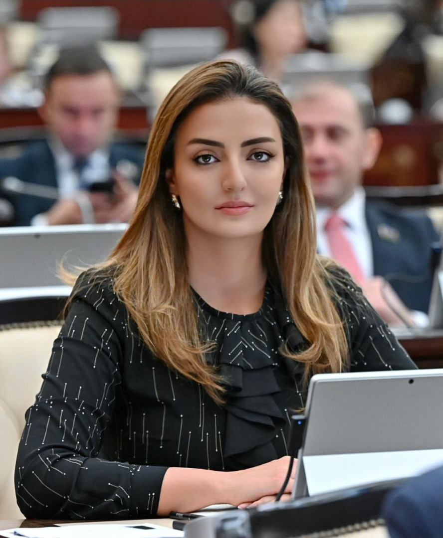 “Gender ekspertizası” mexanizminin hüquqi əsaslarının dəqiqləşdirilməsi vacibdir”
