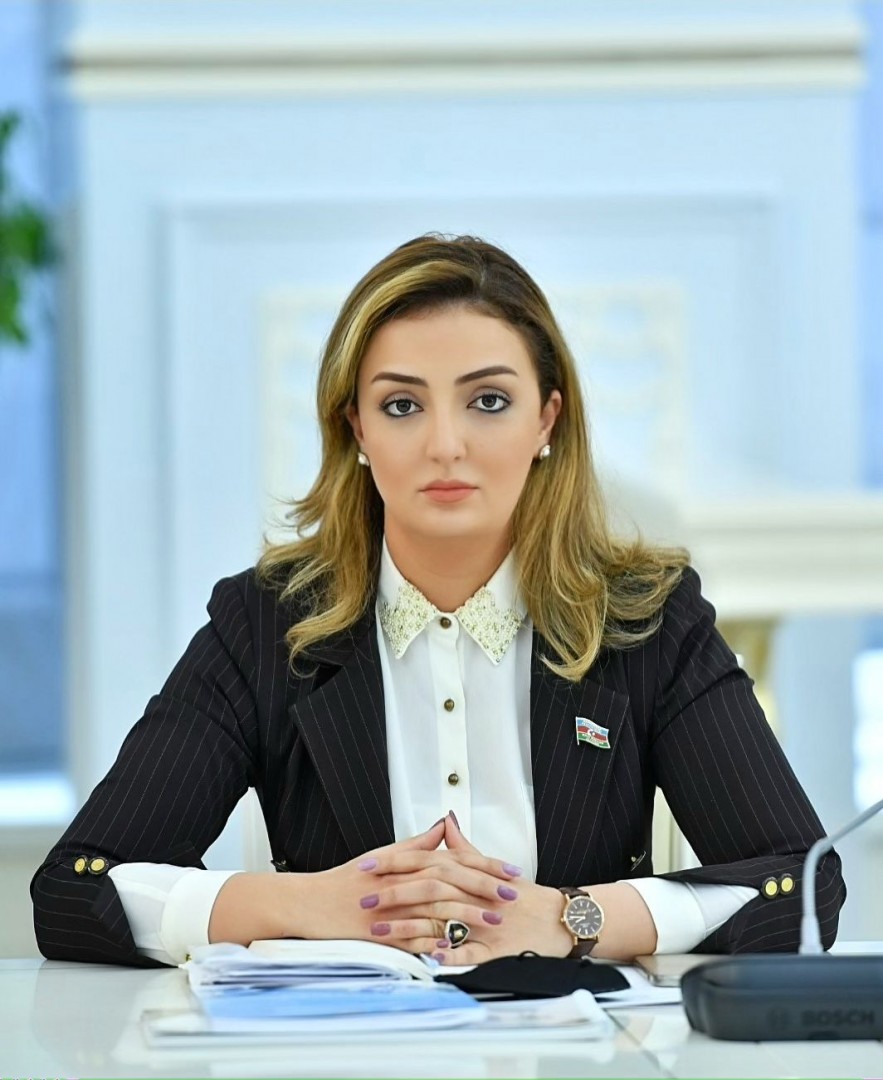 Könül Nurullayeva ölkəmizi yüksək səviyyəli beynəlxalq forumda təmsil edib