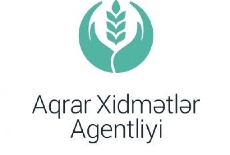 Aqrar Xidmətlər Agentliyindən prezidentə ŞİKAYƏT: "Əlimizdə ciddi faktlar var"