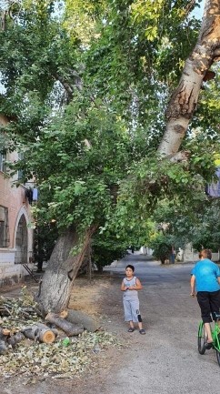 Deputat Könül Nurullayevın seçiciləri ilə görüşləri davam edir-Bu dəfə R.Rüstəmov küçəsi 1,3,5, Məhsəti küçəsi 16, 22 və Ə.Əzimzadə küçəsi 16 ünvanlarında...