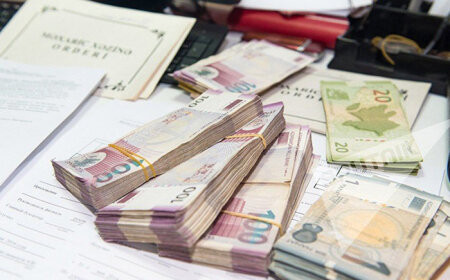 Əkilməyən sahələrə milyonlarla subsidiyalar necə verilib?