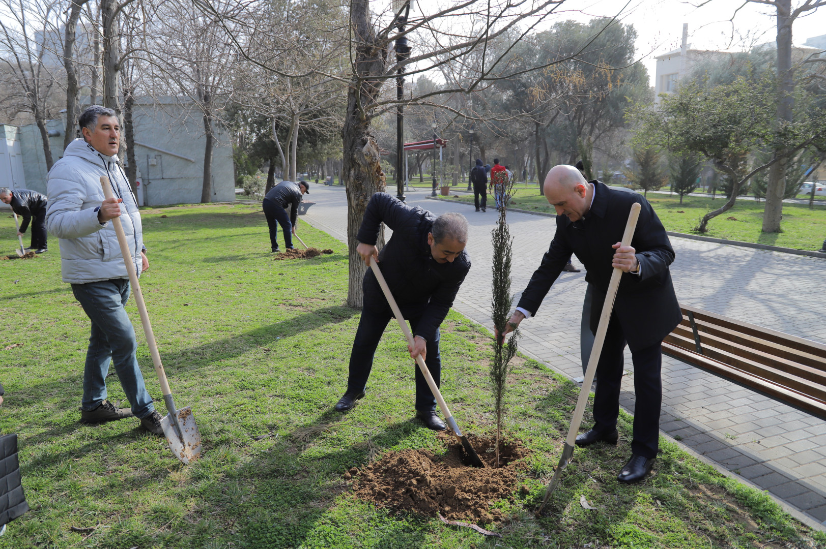 Nəsimi rayonunda 2024-cü ilin "Yaşıl dünya naminə həmrəylik ili" elan edilməsi çərçivəsində COP29-a həsr edilmiş ağacəkmə aksiyası keçirilib