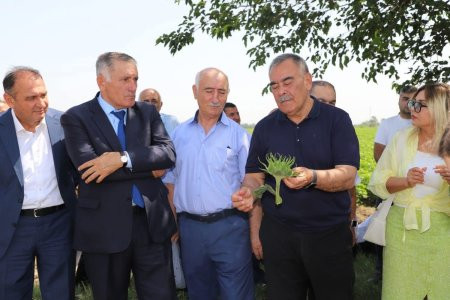 "Sahələrdə fitosanitar vəziyyətə nəzarət edir, monitorinqlər, marşrut müayinələr aparırıq"