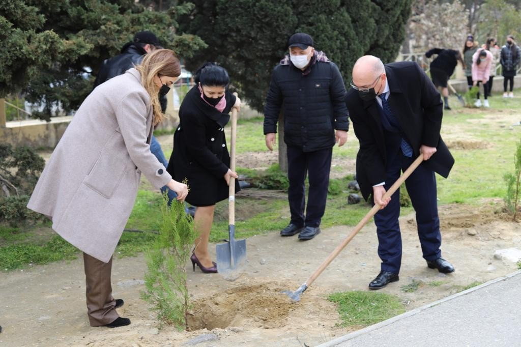 Millət vəkili Könül Nurullayeva “Vətən müharibəsi şəhidlərinin xatirərinə həsr edilmiş ağacəkmə aksiyası” təşkil edib