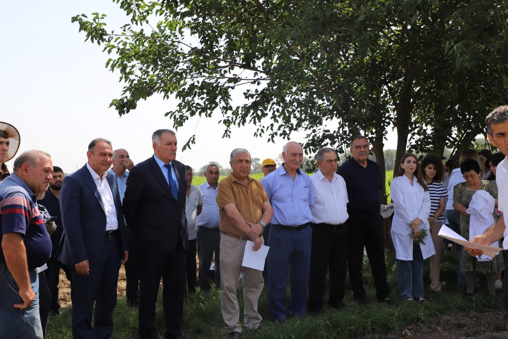 “Günəbaxan bitkisinin becərilməsində yeni texnologiyaların tətbiqi” mövzusunda tarla seminarı keçirilib