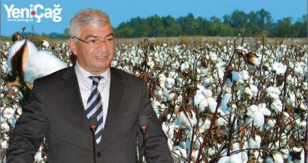 Ağ pambıq içində prezidentə qırmızı yalanı danışan icra başçısı...