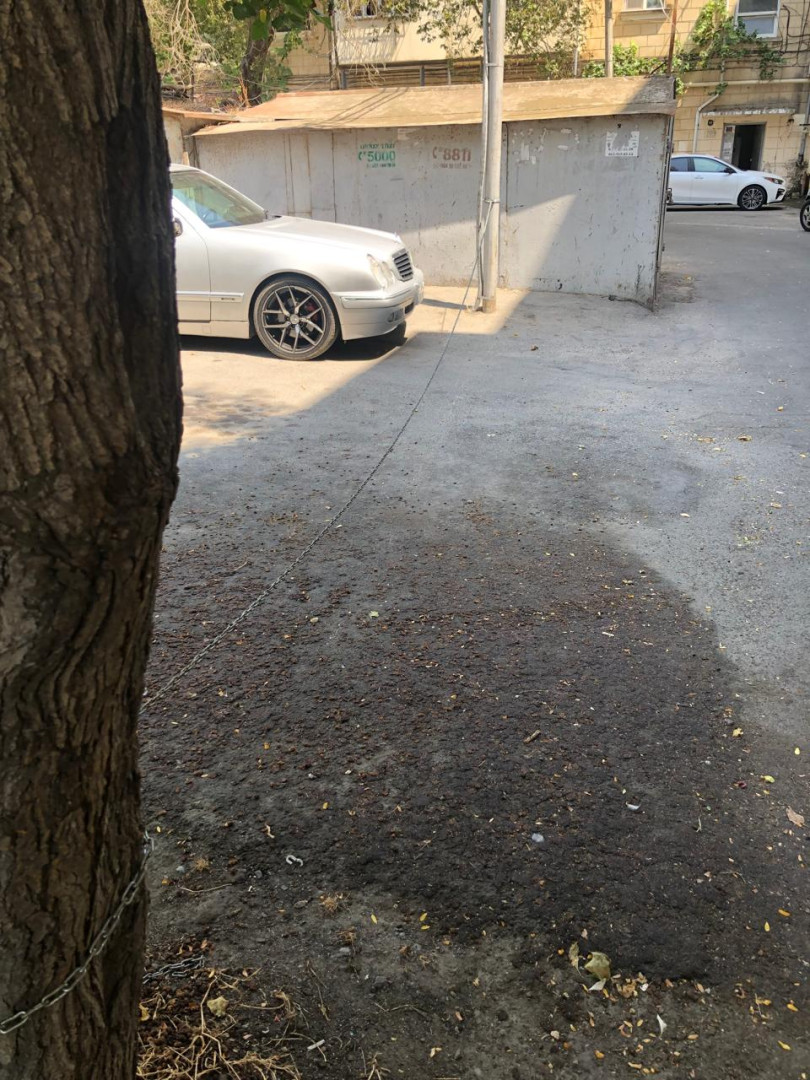 Azər Manafov 41-47 binasının qabağında dirəklərə zəncir vurulub -Bu qanuna zidd halı kim aradan qaldırmalıdır?